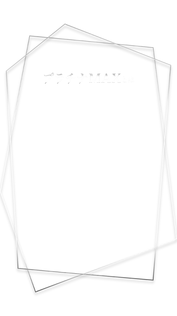 プラチナMAXとは